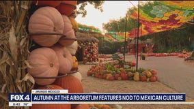 Autumn at the Arboretum features nod to Mexican culture