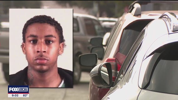 Man on video crashing into police, pedestrian vehicles