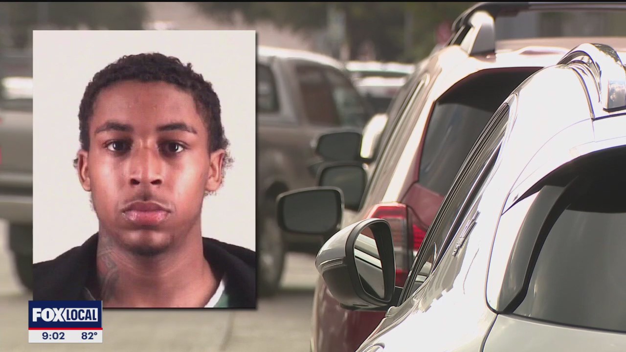 Man on video crashing into police, pedestrian vehicles