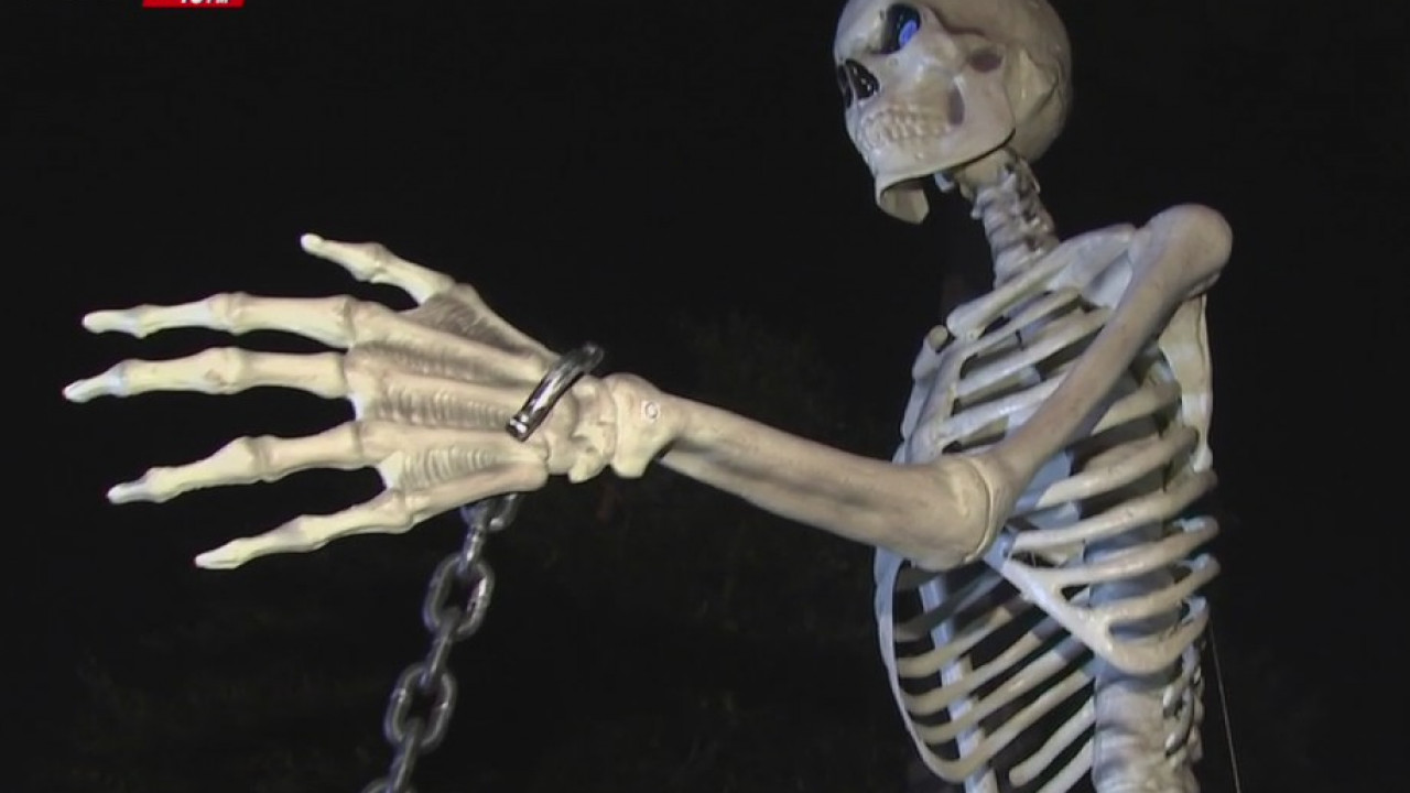 Looking for the ultimate Halloween scare?