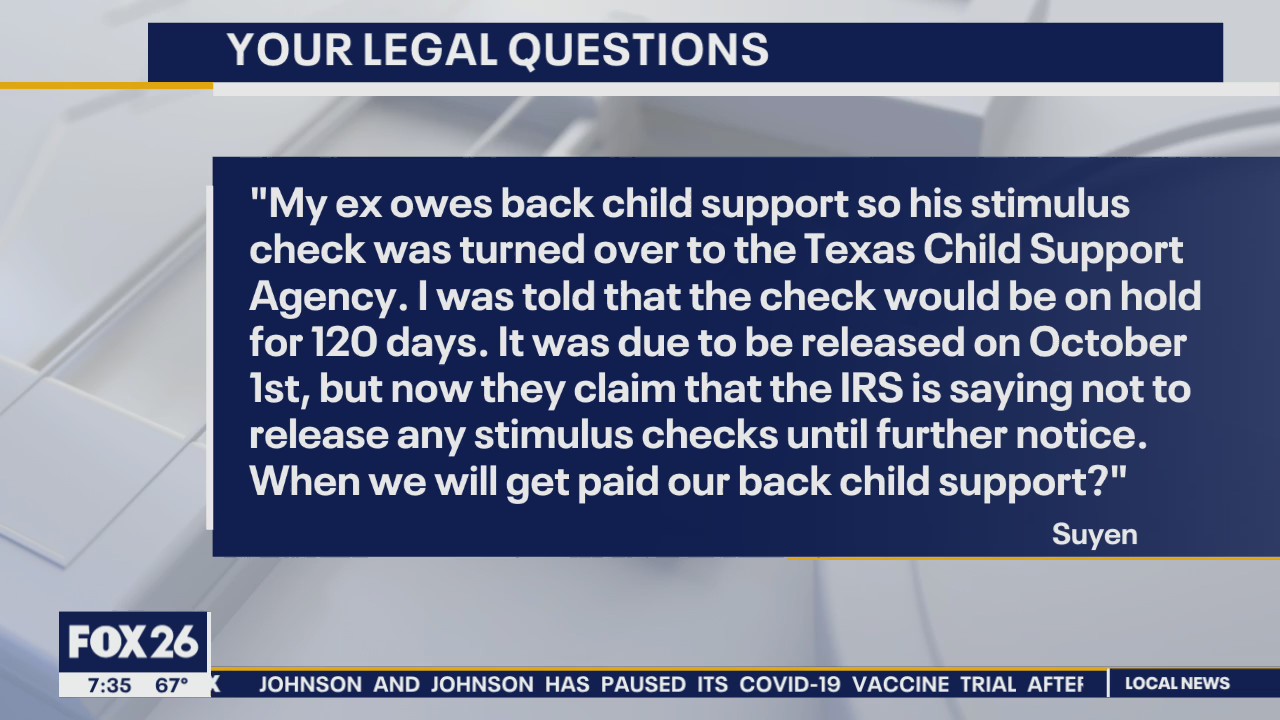 Your Legal Questions: Custody and taxes; child support; refund for puppy