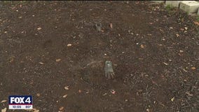 Bronze tiger statue stolen from St. Pius X school