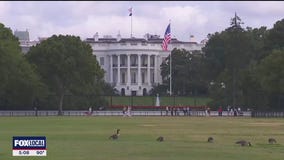 Immediate impact of federal government shutdown