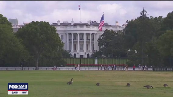 Immediate impact of federal government shutdown