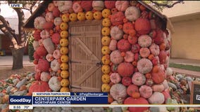 NorthPark Shopping Center transforms for Halloween