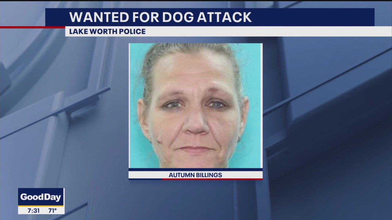 Have you seen her? Woman on run after serious dog attack