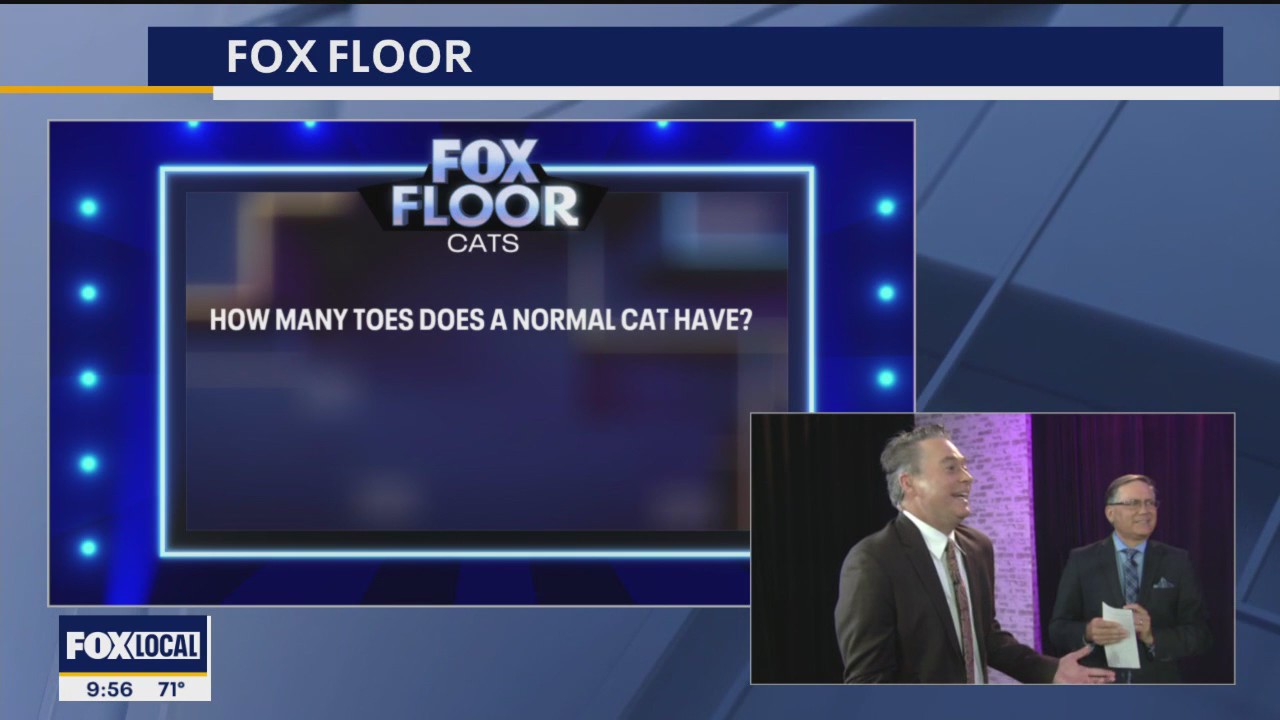 Good Day team competes in FOX's The Floor games