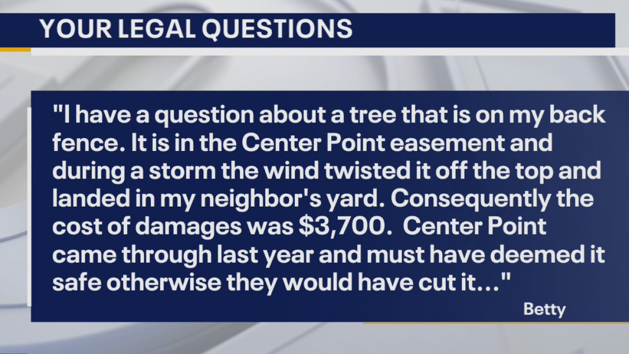 Your Legal Questions - Get money back from scam; damages from tree;