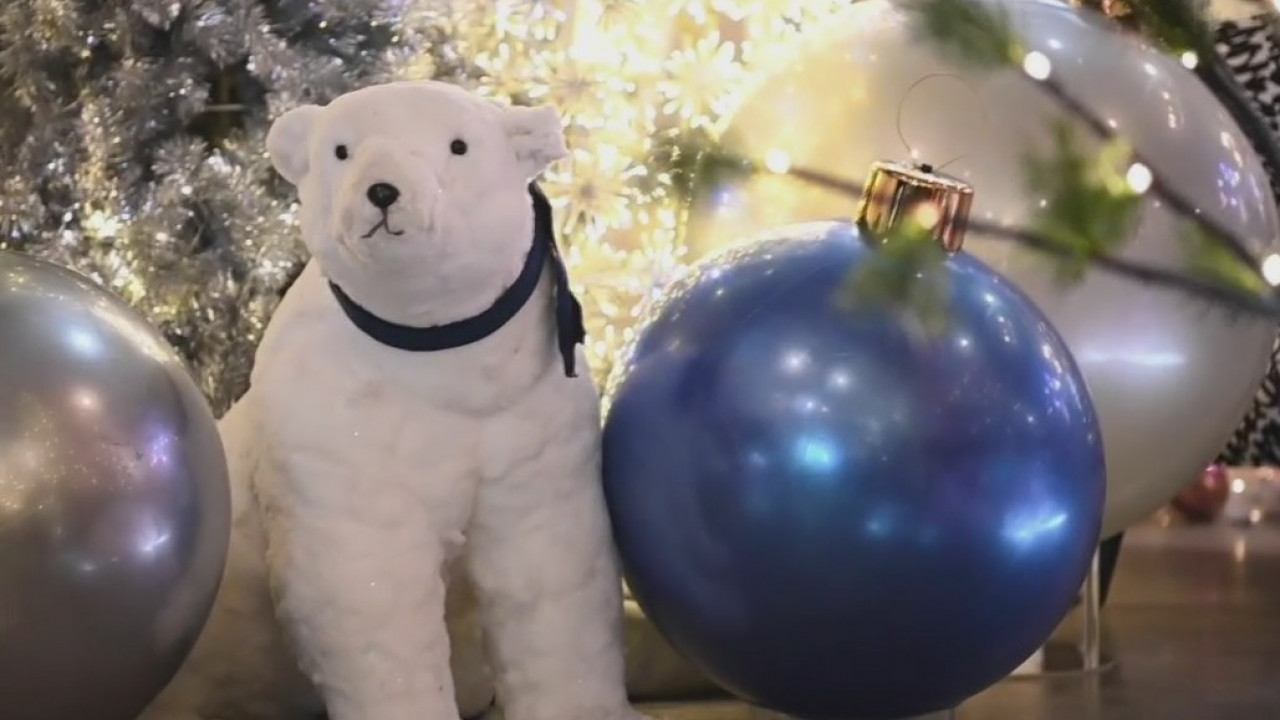 Cousins show up Texas-sized ornaments