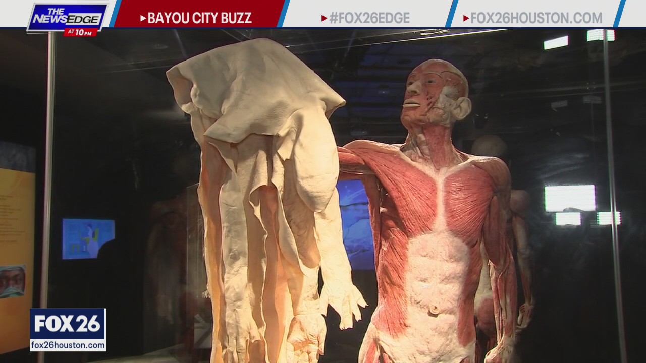 Body Worlds comes to the Houston Museum of Natural Science