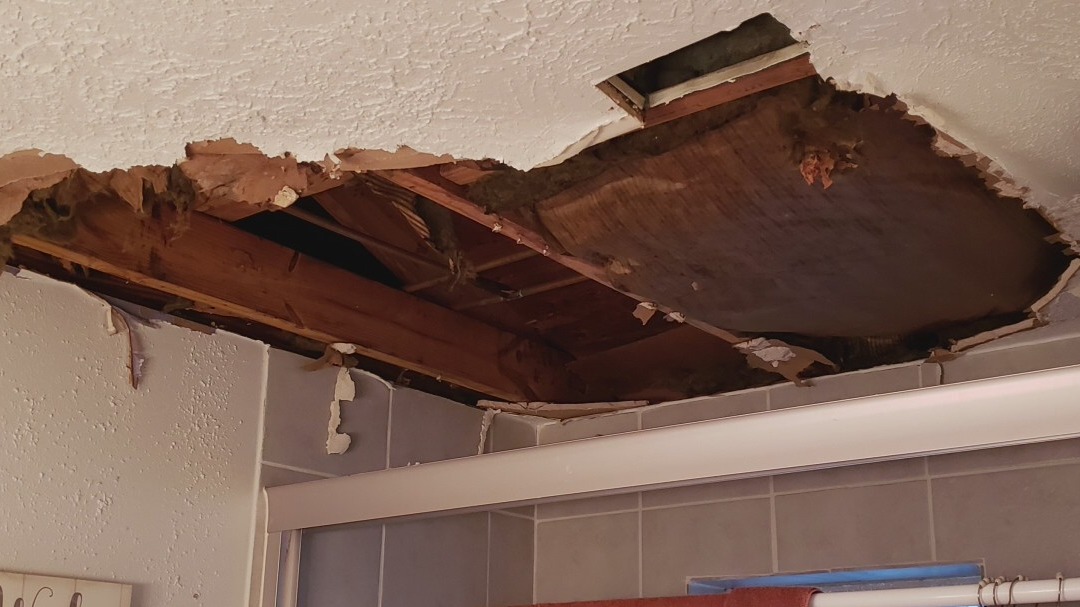 Plumbers overwhelmed with high demand in Houston-area