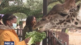 Story of sisters seeking adoption goes viral worldwide