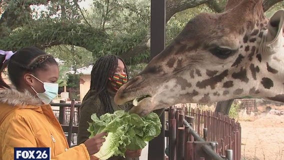 Story of sisters seeking adoption goes viral worldwide