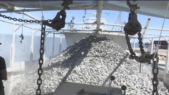 Mission underway in Galveston to bring Gulf Oysters back to their glory