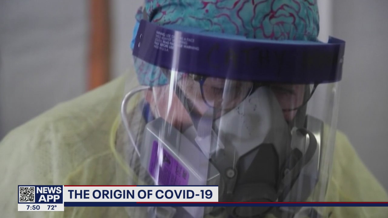 The origin of COVID-19