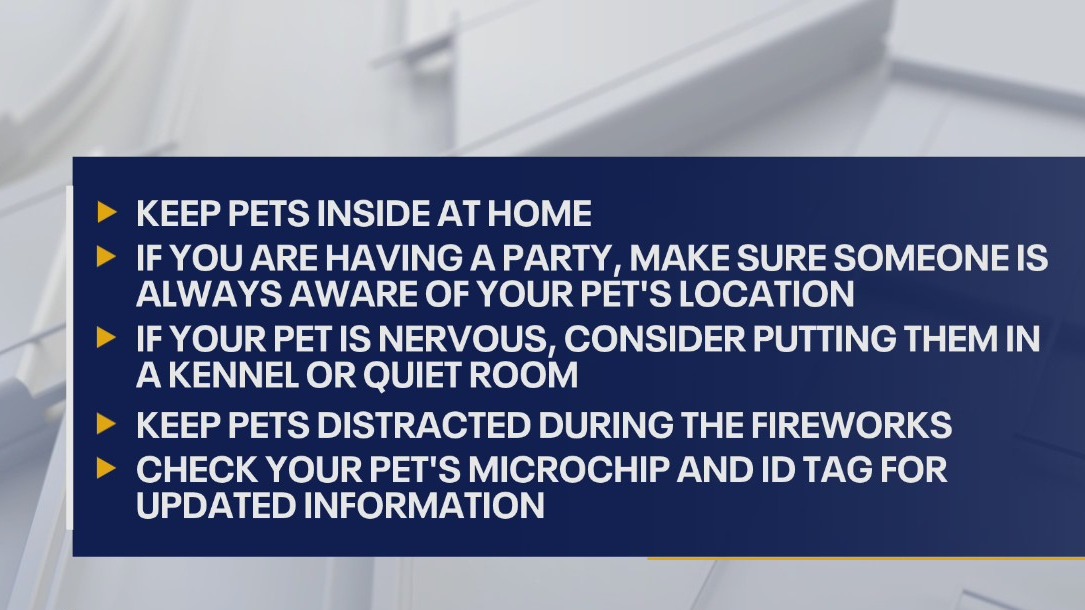Fireworks safety reminders for pet owners and neighbors