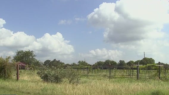 One Tank Trip: La Grange farms, honey wine & quilt museum