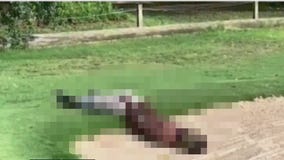 Man caught exposing himself at Houston's Hermann Park