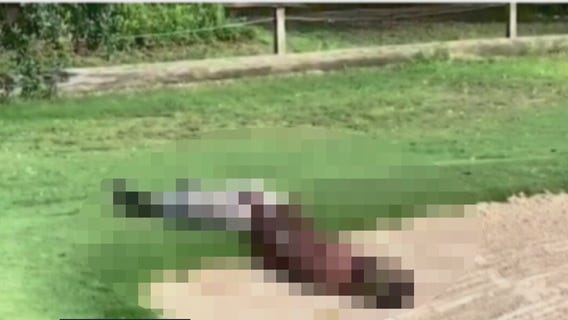 Man caught exposing himself at Houston's Hermann Park