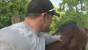 Friendswood PD officer steps in to help feed elderly widow's horses