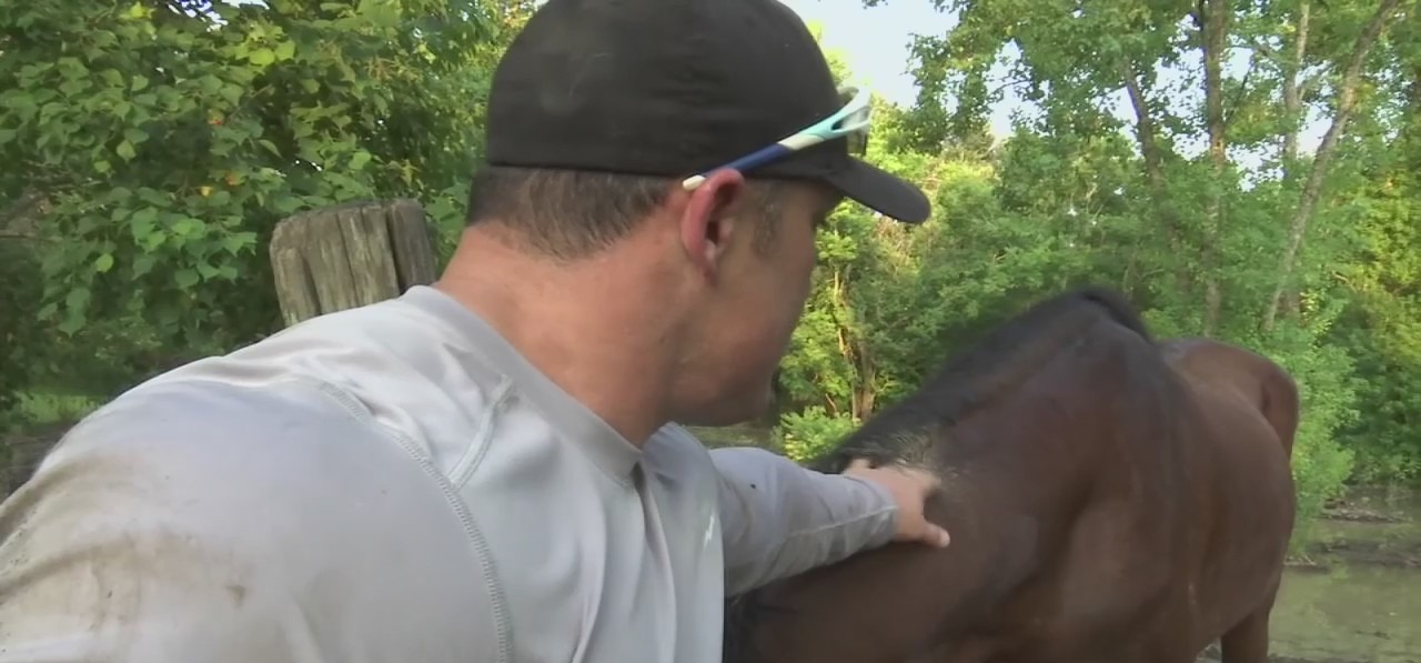 Friendswood PD officer steps in to help feed elderly widow's horses
