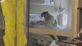 Expert breaks down transmissibility of COVID-19 delta variant