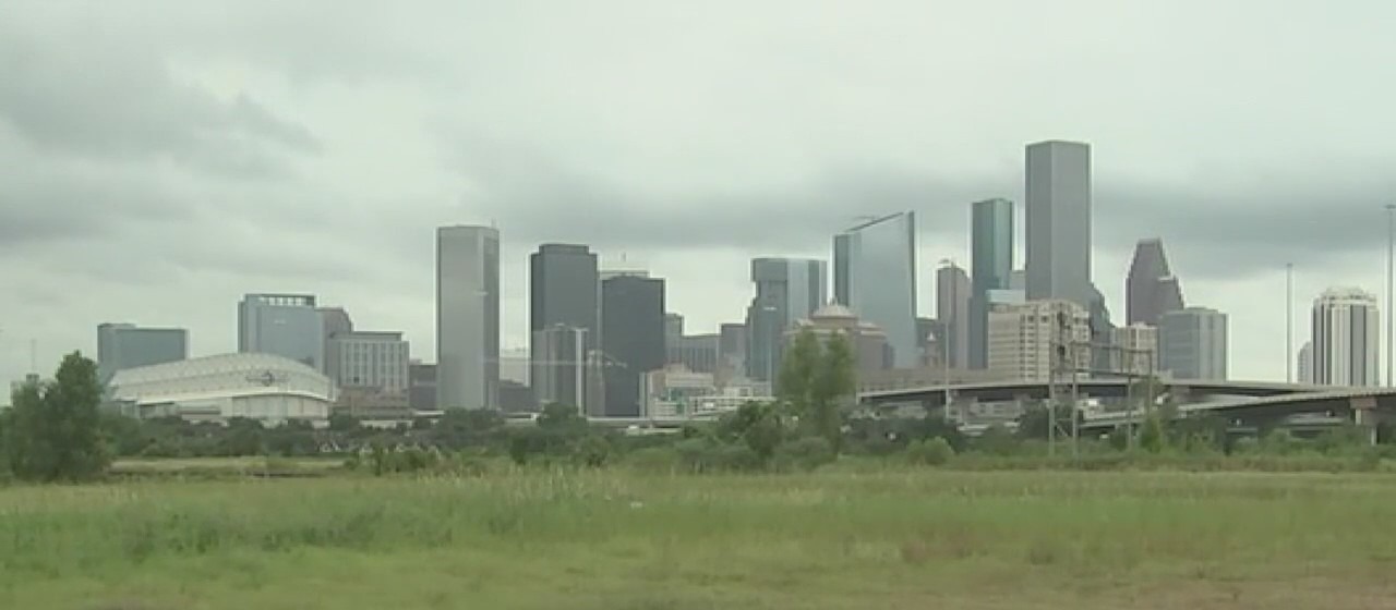 Demonstrators gather to protest expansion project in downtown Houston