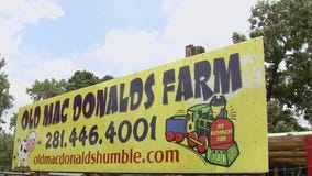 Coco in Your Community: Old MacDonald's Farm in Humble