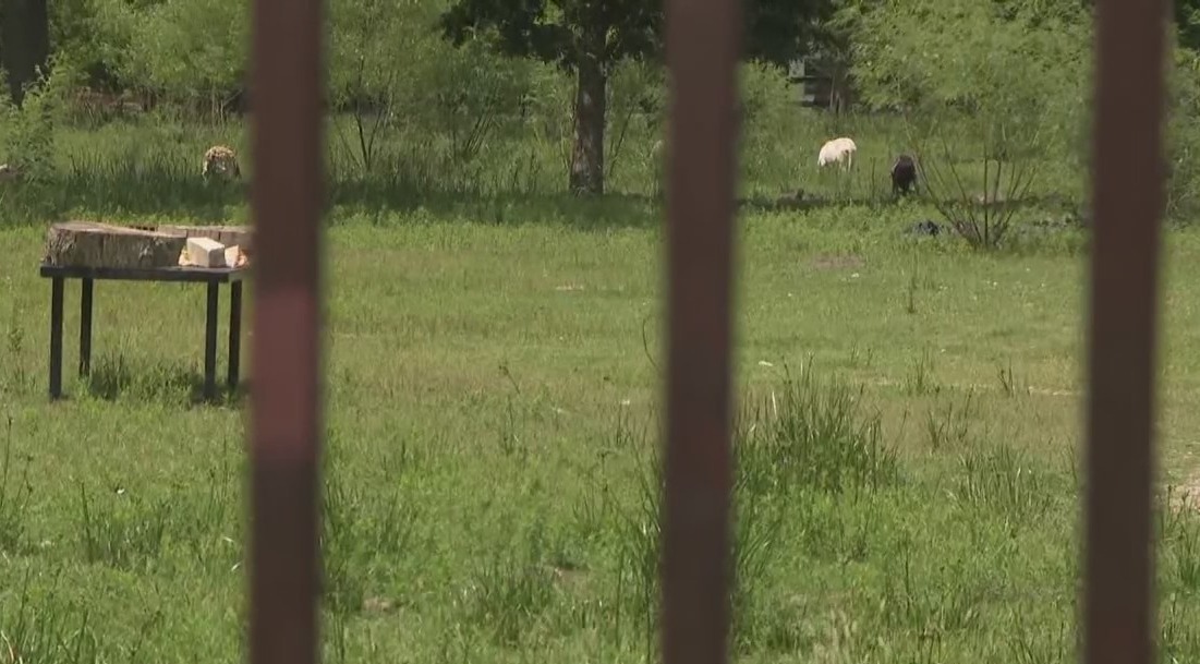 Texas Equusearch discuss new tool to help find victims from 'candy man' murders