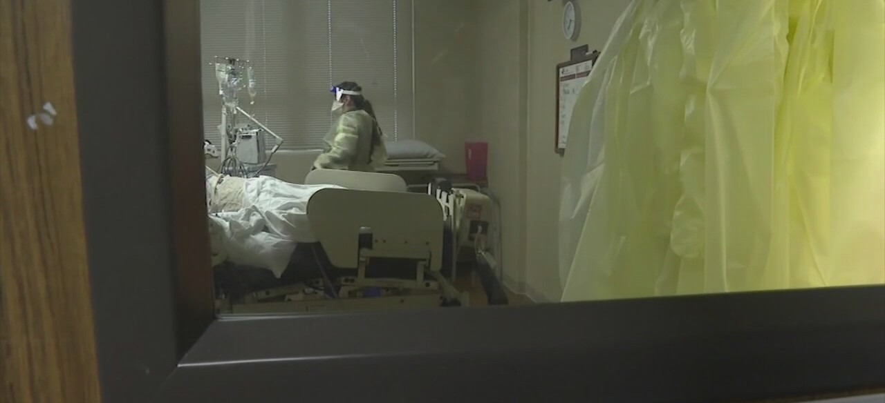 Houston coronavirus hospitalizations starting to plateau, doctors say
