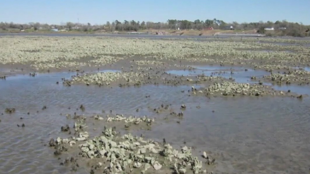 San Jacinto Waste pits