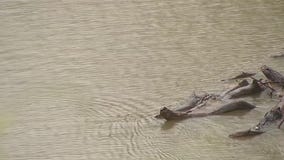 Fort Bend County residents prepare for Tropical Storm Nicholas