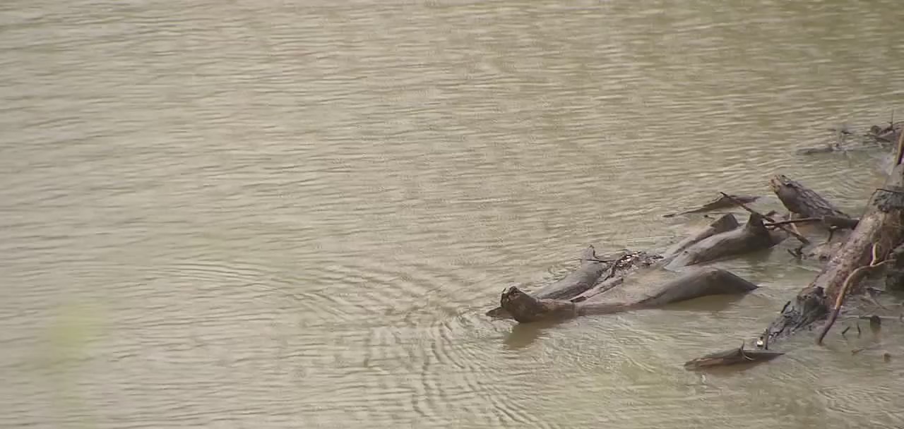 Fort Bend County residents prepare for Tropical Storm Nicholas