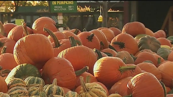 How to save big bucks during Halloween celebrations!