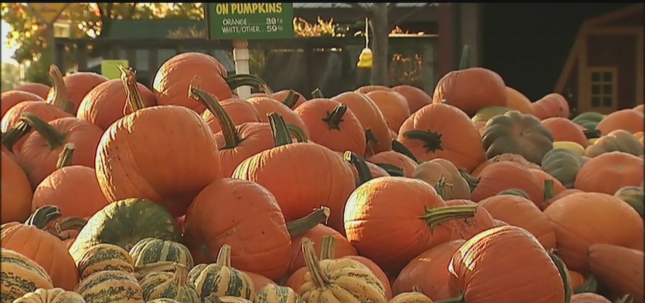 How to save big bucks during Halloween celebrations!