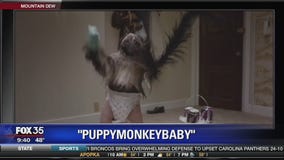 Larry Meador talks Super Bowl commercials