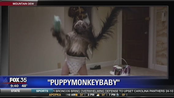 Larry Meador talks Super Bowl commercials