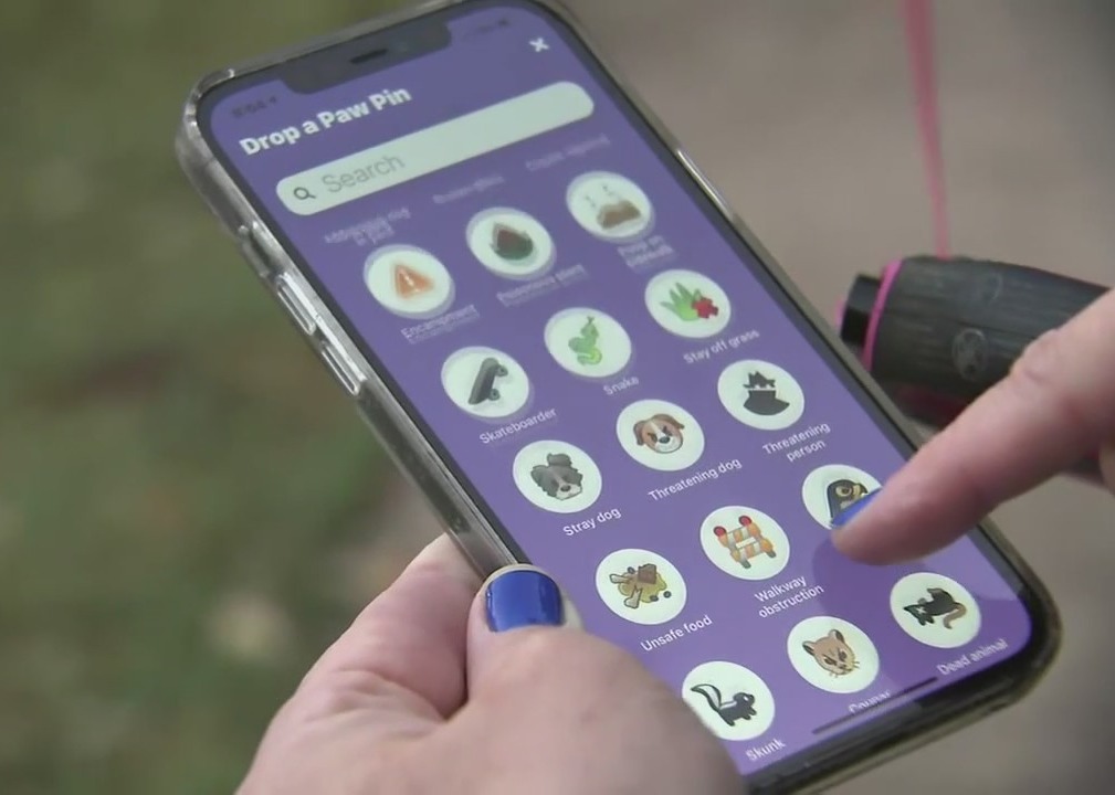 New social network app just for dogs!