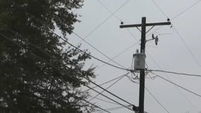 Extreme winter conditions could trigger another blackout