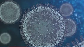 Tracking the COVID-19 Omicron variant