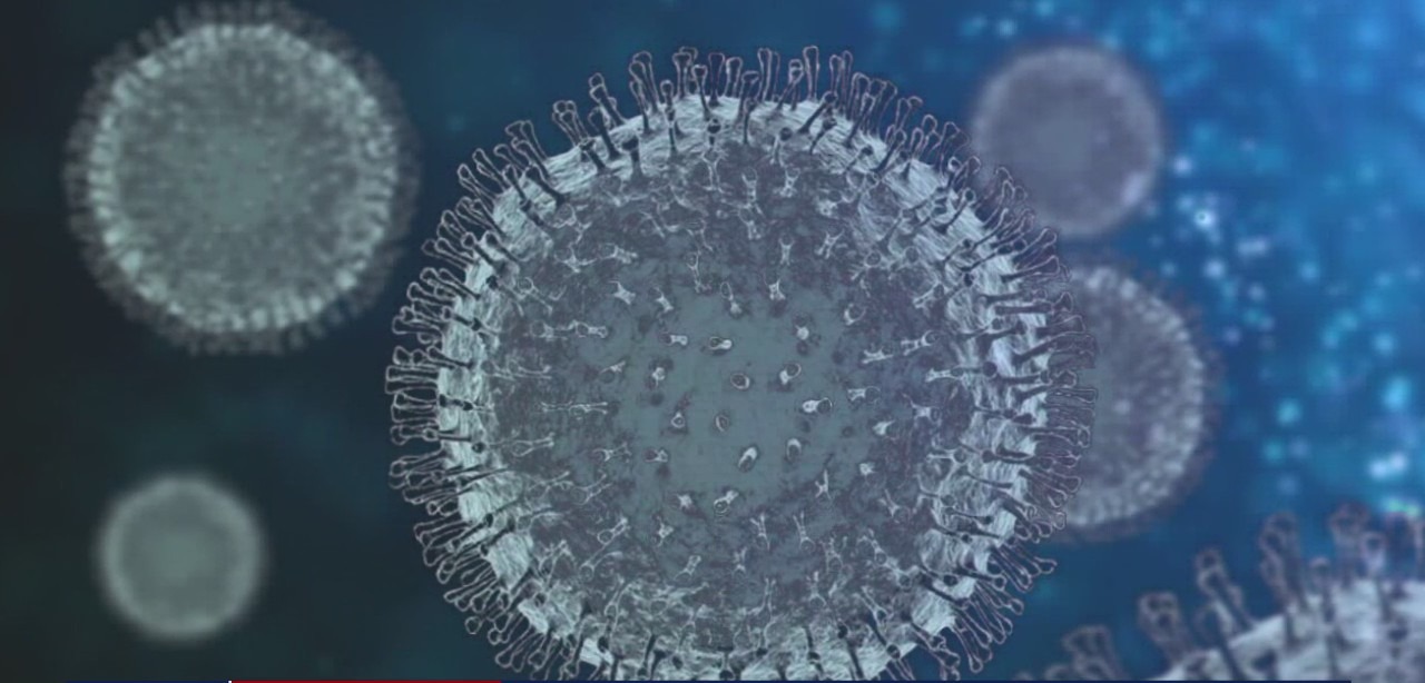 Tracking the COVID-19 Omicron variant