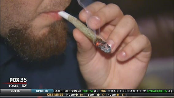 Pot, new candidate spice up Orange Commission race