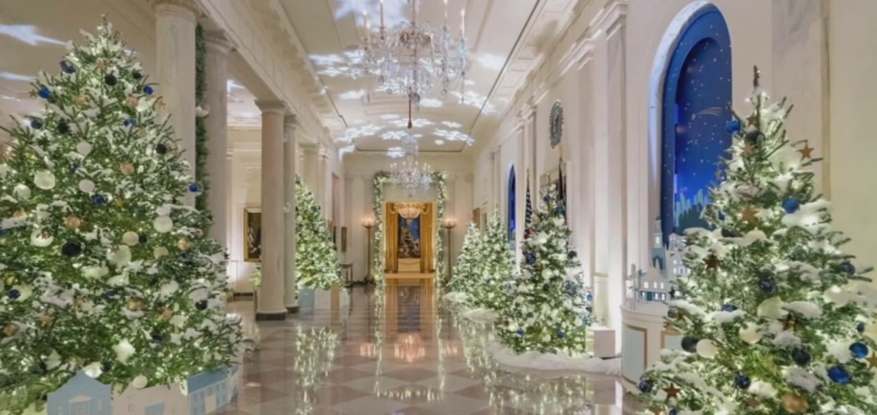 A new calculator can help you estimate how many lights your Christmas tree needs