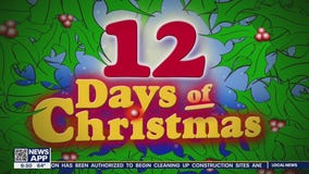 Day 11- Twelve Days of Christmas