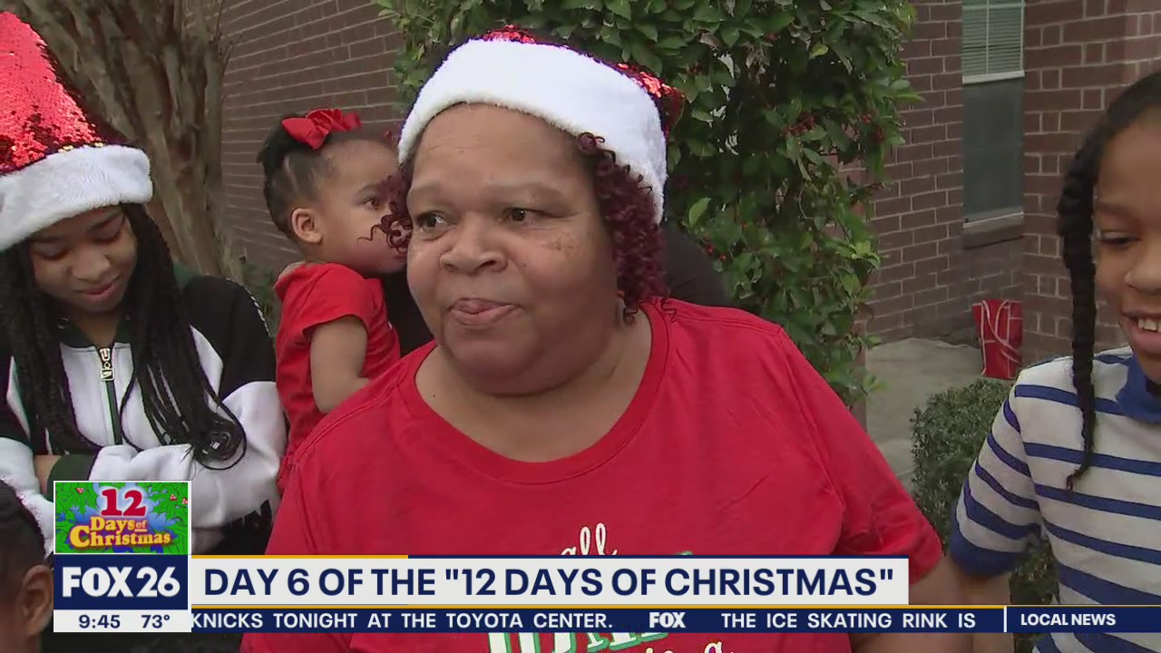 Day 6 - Twelve Days of Christmas