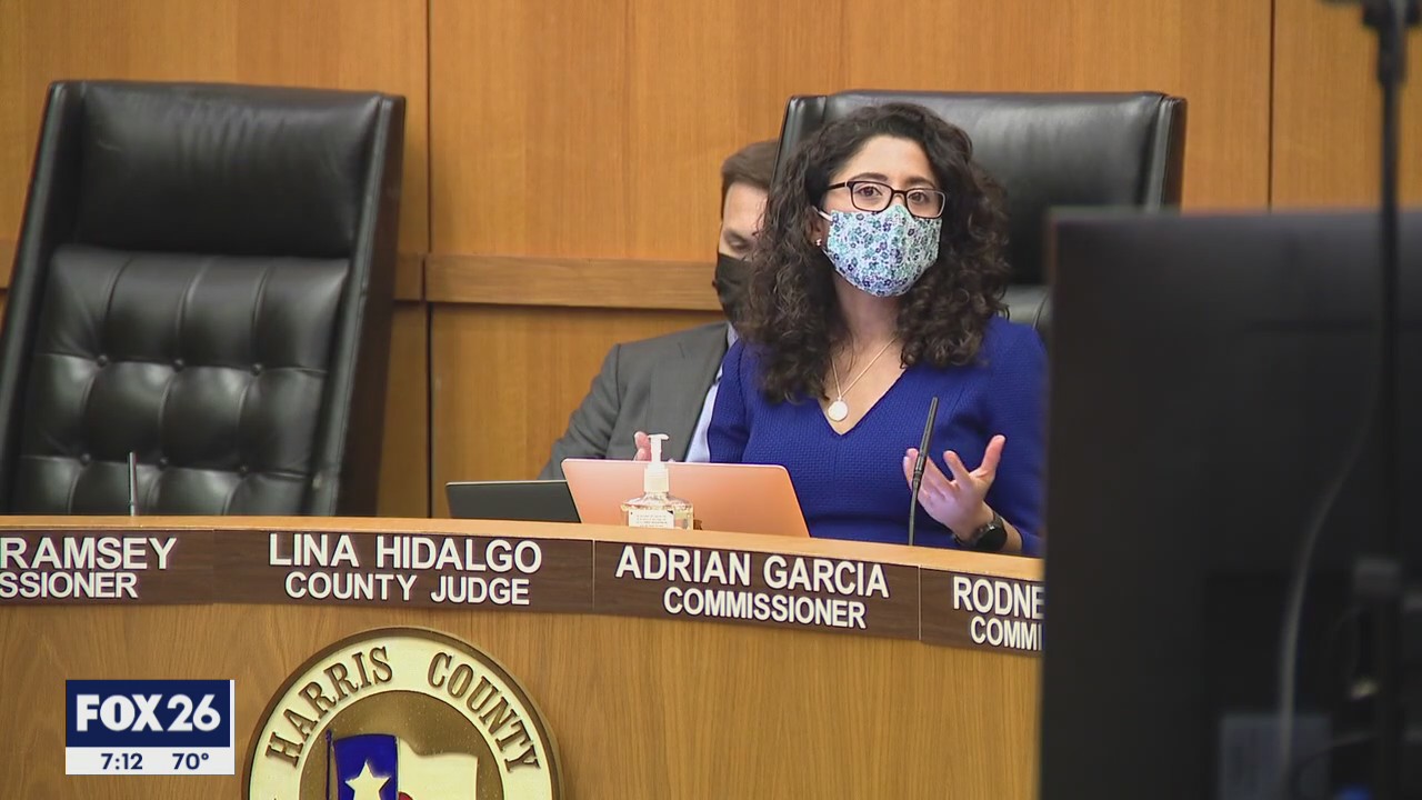 Harris County Judge March primary