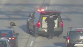 Video: Turkey causes major traffic jam