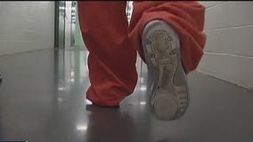 Close to 300 defendants put in jail over three-day period automatically released following glitch