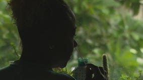 Federal funding for free COVID-19 testing, treatments to uninsured has ended