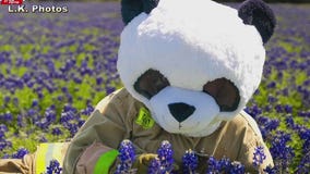 League City Volunteer Fire Department introduces firefighting Panda